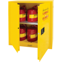 Flammable Storage Cabinet, 30 gal., 2 Door, 43" W x 44" H x 18" D CSL Industriel Inc.