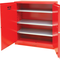 Armoire pour peintures et encres, 45 gal., 3 tablettes CSL Industriel Inc.