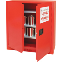 Armoire pour peintures et encres, 45 gal., 3 tablettes CSL Industriel Inc.
