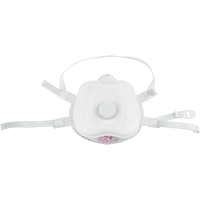 Particulate Respirator, P100, NIOSH Certified, Medium/Large CSL Industriel Inc.