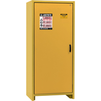 Armoire d'entreposage 30 minutes s&eacute;curitaire et conforme &agrave; la norme EN, 30 gal., 1 Porte(s), 34,02" La x 76,65" h x 24,21" p CSL Industriel Inc.