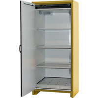 Armoire d'entreposage 30 minutes s&eacute;curitaire et conforme &agrave; la norme EN, 30 gal., 1 Porte(s), 34,02" La x 76,65" h x 24,21" p CSL Industriel Inc.