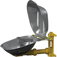 Halo Eyewash Stations, Wall-Mount Installation, Stainless Steel Bowl CSL Industriel Inc.