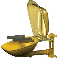 Halo Face/Eyewash Stations, Wall-Mount Installation, Plastic Bowl CSL Industriel Inc.