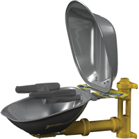 Halo Face/Eyewash Stations, Wall-Mount Installation, Stainless Steel Bowl CSL Industriel Inc.