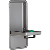 Eye/Face Wash Station, Wall-Mount Installation, Stainless Steel Bowl CSL Industriel Inc.