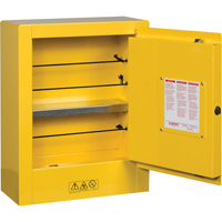 Mini-armoires de s&eacute;curit&eacute; Sure-Grip EX pour produits inflammables, 2 gal., 1 Porte(s), 17" La x 22" h x 8" p CSL Industriel Inc.