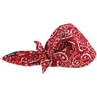 Bandeaux en triangle 6710CT de refroidissement en tissu de serviette Chill-Its, Rouge CSL Industriel Inc.