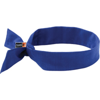 Chill-Its&reg; 6700FR Cooling Bandanas, Blue CSL Industriel Inc.