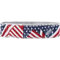 Chill-Its 6605 Cooling Headbands, Multi-Colour CSL Industriel Inc.