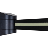 TensaBarrier&reg; Wall Mounted Units, Plastic, Screw Mount, 15', Black Tape CSL Industriel Inc.