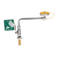 Eye/Face Wash Station, Sink Mount Installation CSL Industriel Inc.