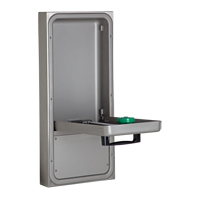 Eye/Face Wash Station, Wall-Mount Installation CSL Industriel Inc.