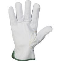 Endura&reg; Cut-Resistant Arc Flash Gloves, X-Small, 10" L, 36 cal/cm², Level 3, NFPA 70E CSL Industriel Inc.