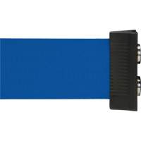 Wall Mount Barrier with Magnetic Tape, Steel, Screw Mount, 7', Blue Tape CSL Industriel Inc.