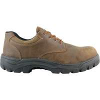 Warrior Work Shoes, Size 13, Steel Toe, Puncture Resistant Sole, Leather CSL Industriel Inc.