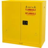 Flammable Storage Cabinet, 30 gal., 2 Door, 43" W x 44" H x 18" D CSL Industriel Inc.