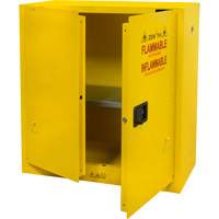 Flammable Storage Cabinet, 30 gal., 2 Door, 43" W x 44" H x 18" D CSL Industriel Inc.