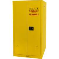 Flammable Storage Cabinet, 60 gal., 2 Door, 34" W x 65" H x 34" D CSL Industriel Inc.