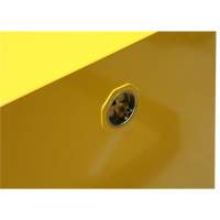 Flammable Storage Cabinet, 4 gal., 1 Door, 17" W x 22" H x 18" D CSL Industriel Inc.