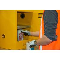 Flammable Storage Cabinet, 4 gal., 1 Door, 17" W x 22" H x 18" D CSL Industriel Inc.