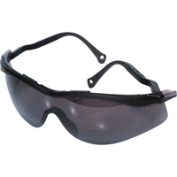 Lunettes de s&eacute;curit&eacute; North The Edge, Lentille Fum&eacute;e, Antibu&eacute;e/Anti-&eacute;gratignures, R&eacute;pond ou surpasse la norme CSA Z94.3 CSL Industriel Inc.