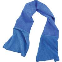 Chill-Its 6604 Multi-Purpose Cleaning and Cooling Towel, Blue CSL Industriel Inc.