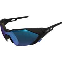 Lunettes de sécurité & accessoires