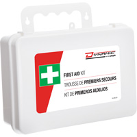 Dynamic First Aid Kit, Meets/Exceeds CSA Z1220-24 Type 2 Low-Risk Environment, Large (51-100 Workers) CSL Industriel Inc.