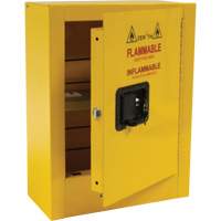 Mini Flammable Safety Cabinet, 2 Gal., 1 Door, 17" W x 22" H x 8" D CSL Industriel Inc.