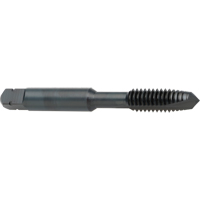 Taraud &agrave; entr&eacute;e h&eacute;licoidale, Acier rapide au cobalt, Filet de 8-32, 2-1/8" l CSL Industriel Inc.