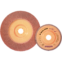 Enduro-Flex Stainless Flap Disc, 4-1/2" x 7/8", Type 27, 40 Grit, Zirconia Alumina CSL Industriel Inc.