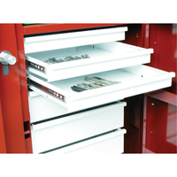Rolling Work Bench, 49-7/8" W x 40-5/8" H x 26-7/8" D, 24.6 Cubic Feet Capacity CSL Industriel Inc.