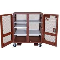 Mobile Mesh Cabinet, Steel, 37 Cubic Feet, Red CSL Industriel Inc.