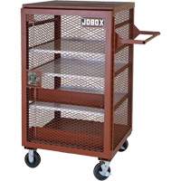 Mobile Mesh Cabinet, Steel, 22 Cubic Feet, Red CSL Industriel Inc.