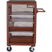 Mobile Mesh Cabinet, Steel, 22 Cubic Feet, Red CSL Industriel Inc.
