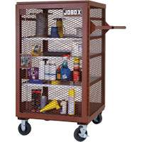 Mobile Mesh Cabinet, Steel, 22 Cubic Feet, Red CSL Industriel Inc.