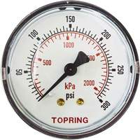 Replacement Pressure Gauge, 2" , 0 - 175 psi, Back Mount, Analogue CSL Industriel Inc.