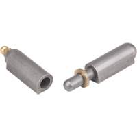 Charni&egrave;re &agrave; souder, 0,512" dia. x 3,15" lo, Acier doux a/goupille fixe en acier CSL Industriel Inc.