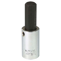Bit Socket, 10 mm x 2-1/5" L, 3/8" Drive CSL Industriel Inc.