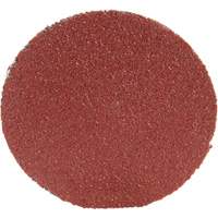 Roloc Disc 361F, 1-1/2" Dia., P100 Grit, Aluminum Oxide CSL Industriel Inc.