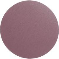 Meule en toile PSA 348D, dia 12", Grain 60, Oxyde d'aluminium, Poids CSL Industriel Inc.