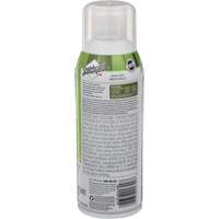 Scotchgard Outdoor Protector, 297 g, Aerosol Can, Clear CSL Industriel Inc.
