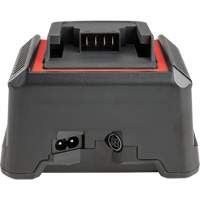 2.5 Ah & 5.0 Ah Battery Charger, 120 V, Lithium-Ion CSL Industriel Inc.