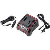 2.5 Ah & 5.0 Ah Battery Charger, 120 V, Lithium-Ion CSL Industriel Inc.