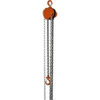 VHC Series Chain Hoists, 10' Lift, 1100 lbs. (0.5 tons) Capacity, Alloy Steel Chain CSL Industriel Inc.