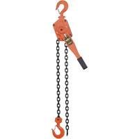 VLP Series Chain Hoists, 5' Lift, 6000 lbs. (3 tons) Capacity, Steel Chain CSL Industriel Inc.