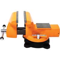 &eacute;tau d'&eacute;tabli pour m&eacute;canicien avec enclume, Largeur des m&acirc;choires 8" CSL Industriel Inc.
