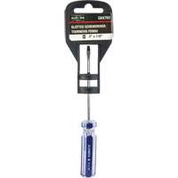 Blue Transparent Striped Slotted Screwdriver, 1/8" Tip, Round, Plastic Handle CSL Industriel Inc.