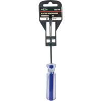 Blue Transparent Striped Slotted Screwdriver, 3/16" Tip, Round, Plastic Handle CSL Industriel Inc.